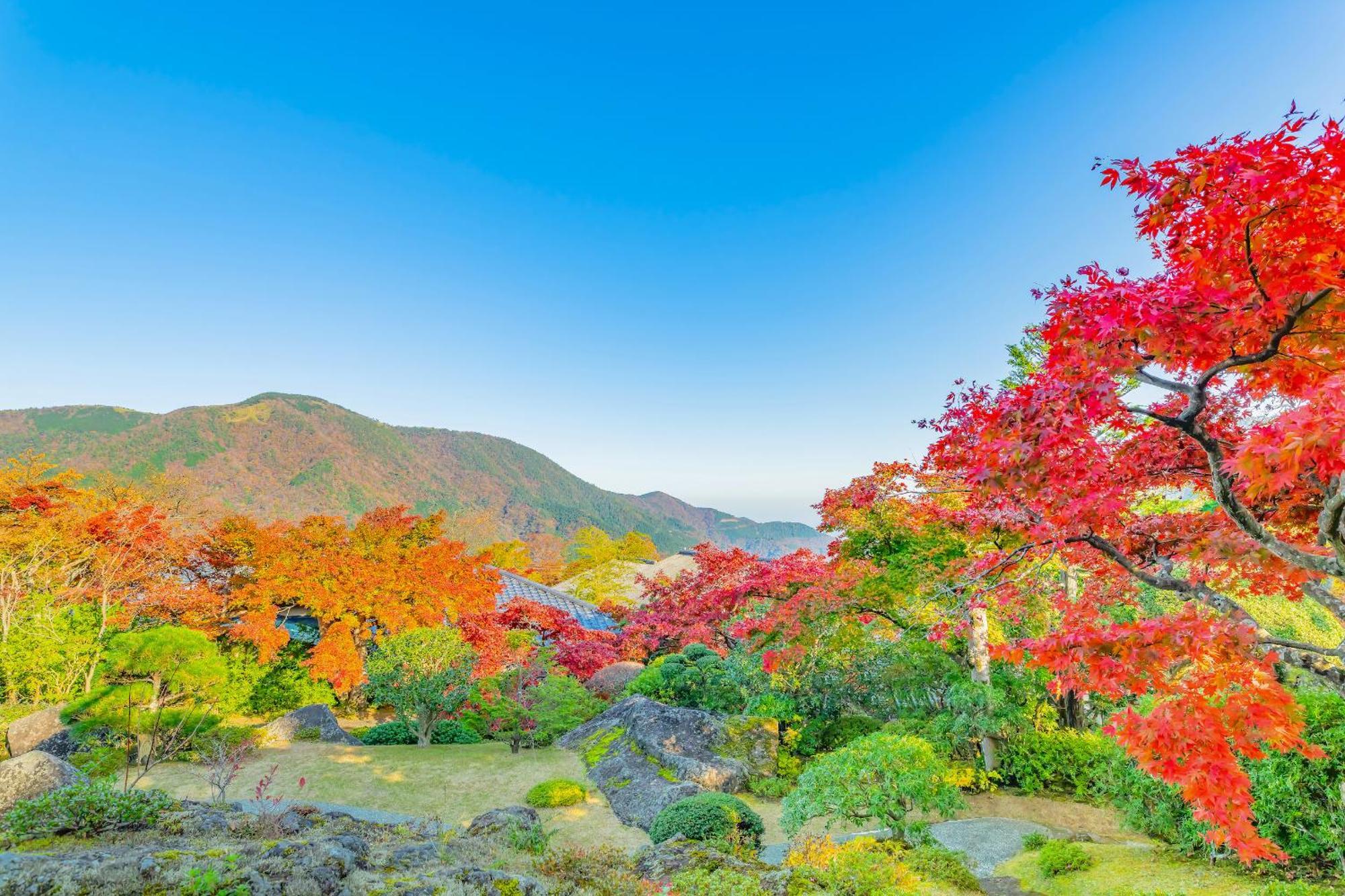 Отель Oku Yugawara Sansuirou Экстерьер фото